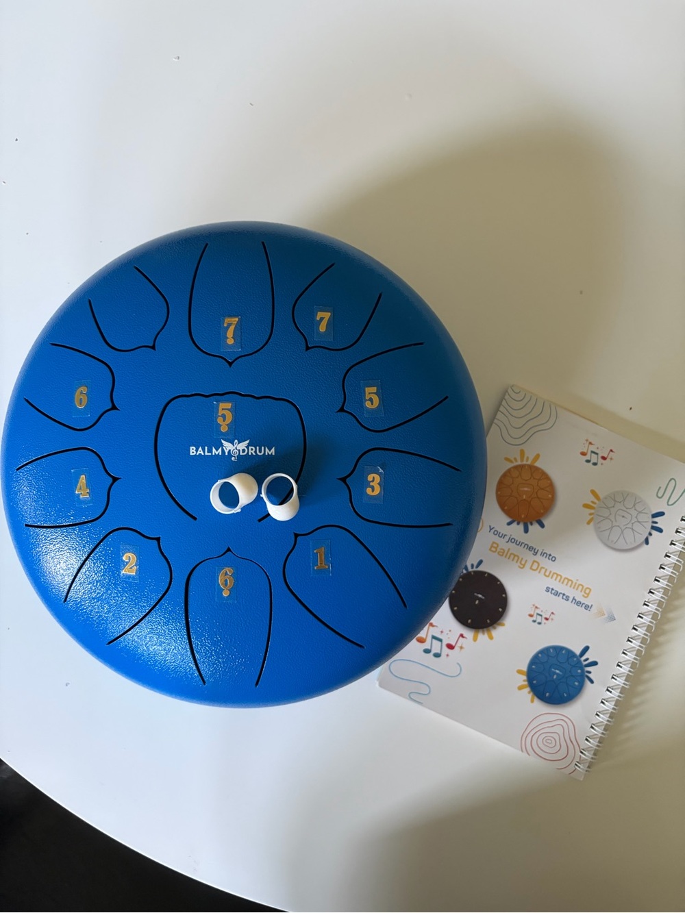 Balmy Drum - 11 Tones, includes carrying case and song book